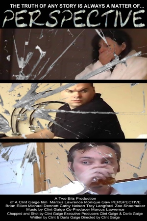 Perspective DVD (in SD)